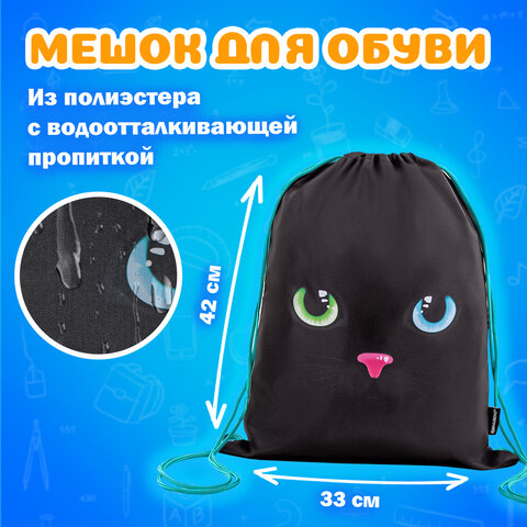 Папка на молнии с ручками А4, мешок для обуви 42х33 см, пенал 20х10 см, "Black cat" НАБОР BRAUBERG, 271434