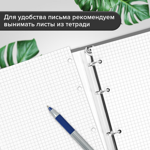 Тетрадь на кольцах А5 175х215 мм, 120 л., твердый картон, матовая ламинация, клетка, BRAUBERG "Minimal grey", 404996