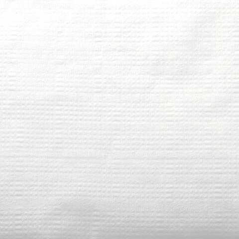 Салфетки бумажные для диспенсера, LAIMA (N2) PREMIUM, 1-слойные, КОМПЛЕКТ 30 пачек по 100 шт., 17x15,5 см, белые, 112509 - 4