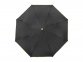 Зонт складной «Spark», черный/зеленый Avenue - 3