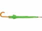 Зонт-трость «Радуга», зеленое яблоко - 3