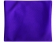 Чехол на запястье на молнии «Squat», пурпурный, полиэстер - 1