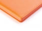 Ежедневник недатированный А5 «Polo», оранжевый, искусственная кожа - 4