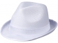 Лента для шляпы Trilby, белый - 1
