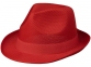 Лента для шляпы Trilby, красный - 2