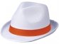 Лента для шляпы Trilby, оранжевый - 1