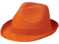 Лента для шляпы Trilby, оранжевый - 3