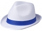 Лента для шляпы Trilby, синий - 1