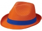 Лента для шляпы Trilby, синий - 3