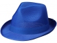 Лента для шляпы Trilby, синий - 4