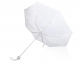 Зонт складной «Tempe», белый, купол- полиэстер, каркас-металл, спицы- фибергласс, ручка-пластик - 2