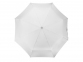 Зонт складной «Tempe», белый, купол- полиэстер, каркас-металл, спицы- фибергласс, ручка-пластик - 5