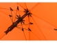 Зонт-трость «Color», оранжевый, купол-эпонж 190T с водоотталкивающей пропиткой; каркас- сталь; спицы- фибергласс; ручка- пластик с покрытием soft-touch - 3
