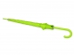 Зонт-трость «Color», зеленое яблоко, купол-эпонж 190T с водоотталкивающей пропиткой; каркас- сталь; спицы- фибергласс; ручка- пластик с покрытием soft-touch - 2