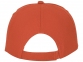 Бейсболка «Feniks», оранжевый, хлопок - 2