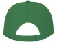 Бейсболка «Feniks», зеленый папоротник, хлопок - 2