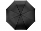 Зонт-трость «Яркость», черный - 3