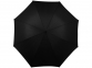 Зонт-трость «Алтуна», черный - 1