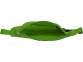 Сумка на пояс «Freedom», зеленое яблоко, 210D ripstop 100% полиэстер - 5