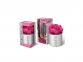 Мох Ягель натуральный, серый, розовый, гипс, стабилизированный мох, картонная коробка - 1