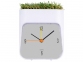 Часы настольные «Grass», белый/зеленый, пластик/искусственная трава - 1