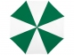 Зонт-трость «Lisa», зеленый/белый, полиэстер, металл, дерево - 1
