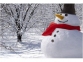 Набор аксессуаров для снеговика, красный, черный, оранжевый, фетр, 100% полиэстер, нетканый материал, пластик - 2