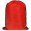 Рюкзак-холодильник Cool Hike, красный - 1