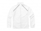 Куртка "Egmont" мужская, белый/серый - 1