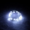 Электрогирлянда "Нить" 20 холодных LED ламп "РОСА", 2 м, на батарейках, с пультом, в дисплей-боксе - 2