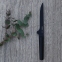 Ron нож для выемки костей 15 см (черный) - 2