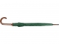Зонт-трость «Радуга», зеленый, купол- полиэстер, стержень и ручка- дерево, спицы- металл - 3
