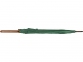Зонт-трость «Радуга», зеленый, купол- полиэстер, стержень и ручка- дерево, спицы- металл - 4