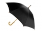 Зонт-трость «Радуга», черный, купол- полиэстер, стержень и ручка- дерево, спицы- металл - 1