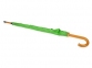 Зонт-трость «Радуга», зеленое яблоко, купол- полиэстер, стержень и ручка- дерево, спицы- металл - 2