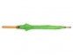 Зонт-трость «Радуга», зеленое яблоко, купол- полиэстер, стержень и ручка- дерево, спицы- металл - 4