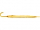 Зонт-трость «Яркость», желтый, купол- полиэстер, каркас, спицы- металл, ручка- пластик - 2