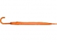 Зонт-трость «Яркость», оранжевый, купол- полиэстер, каркас, спицы- металл, ручка- пластик - 2