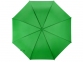 Зонт-трость «Яркость», зеленое яблоко, купол- полиэстер, каркас, спицы- металл, ручка- пластик - 3