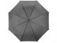 Зонт-трость «Яркость», серый, купол- полиэстер, каркас, спицы- металл, ручка- пластик - 3