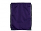 Рюкзак «Oriole», пурпурный/черный, полиэстер 210D - 1
