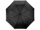 Зонт-трость «Яркость», черный, купол- полиэстер, каркас, спицы- металл, ручка- пластик - 1