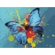 Картина по номерам 40х50 см, ОСТРОВ СОКРОВИЩ "Голубая бабочка", на подрамнике, акриловые краски, 3 кисти, 662486 - 1