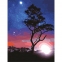 Картина по номерам 40х50 см, ОСТРОВ СОКРОВИЩ "Звездная ночь", на подрамнике, акриловые краски, 3 кисти, 662495 - 1