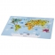 Настольное покрытие ПИФАГОР, А3+, пластик, 46x33 см, "Map", 270403 - 1