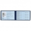 Бланк документа "Студенческий билет для среднего профессионального образования", 65х98 мм, STAFF, 129145 - 1