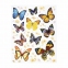 Украшение для окон и стекла ЗОЛОТАЯ СКАЗКА "Бабочки 4", 30х38 см, ПВХ, 591234 - 1