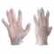 Перчатки виниловые, КОМПЛЕКТ 5 пар (10 шт.), размер M (средний), белые, PACLAN, 540, 541, 407540/407541 - 1
