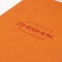 Дневник 1-11 класс 48 л., кожзам (гибкая), термотиснение, BRAUBERG "LATTE", оранжевый, 105439 - 1