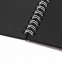 Скетчбук, черная бумага 120 г/м2, 205х290 мм, 20 л., гребень, жёсткая подложка, BRAUBERG ART DEBUT, 110995 - 3